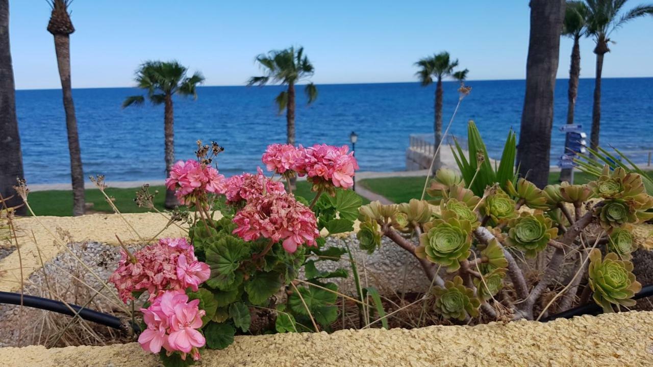 Magnificas Vistas Al Mar Appartement Oropesa del Mar Buitenkant foto